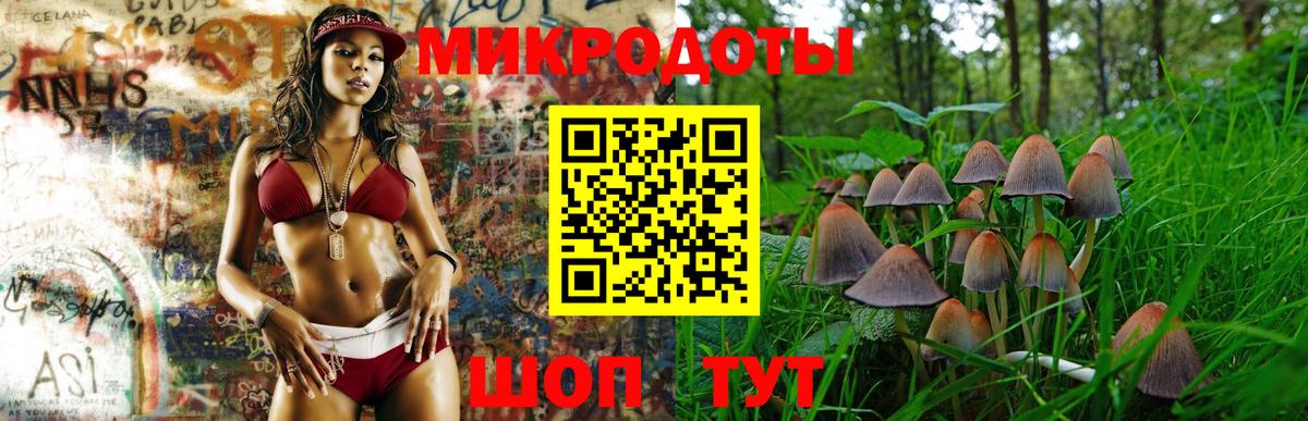 Псилоцибиновые грибы Cubensis Краснокаменск