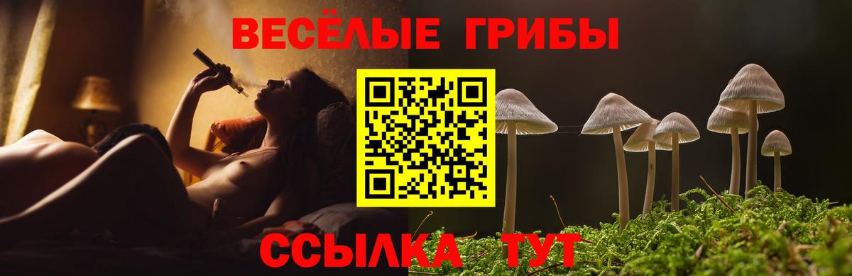 Галлюциногенные грибы GOLDEN TEACHER  Вход с VPN  Краснокаменск 